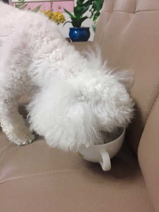 jiny님이 올린 리뷰 사진 1