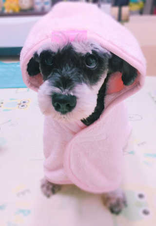 DH님이 올린 리뷰 사진 1