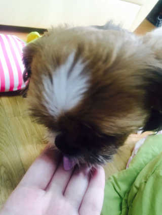 장시은님이 올린 리뷰 사진 4