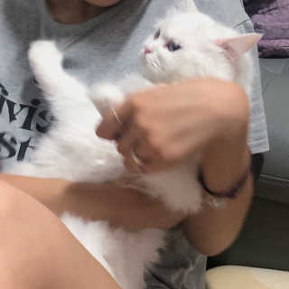 례진님이 올린 리뷰 사진 2