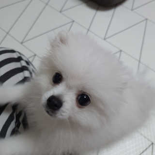 ssosso_yab님이 올린 리뷰 사진 3