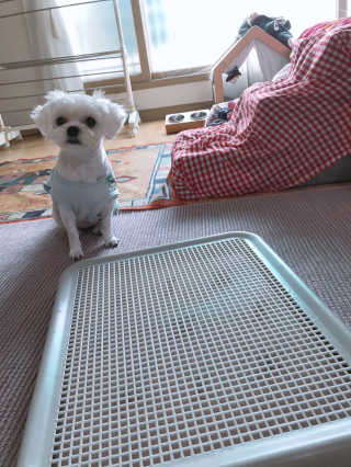신해인님이 올린 리뷰 사진 1