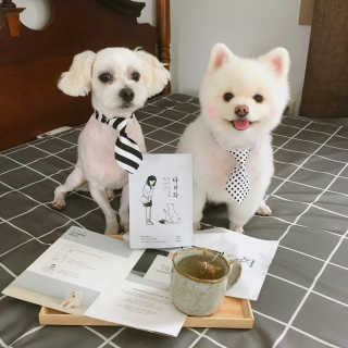 신가희님이 올린 리뷰 사진 1