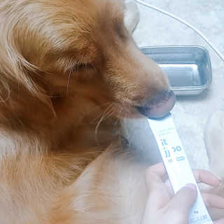 아보카도올리브님이 올린 리뷰 사진 1
