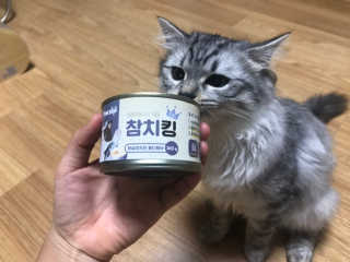 배융빵님이 올린 리뷰 사진 2