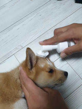 뿐뿐이님이 올린 리뷰 사진 2