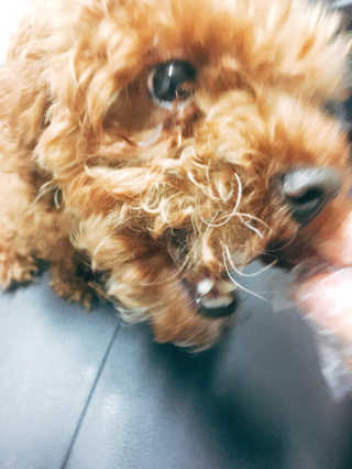 cola님이 올린 리뷰 사진 3