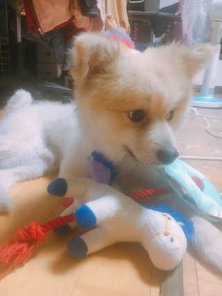 은세님이 올린 리뷰 사진 1