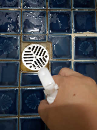 셀로몬 토일렛 스프레이 500ml — 5점을 준 리뷰어가 2018년 5월 올린 사용 사진