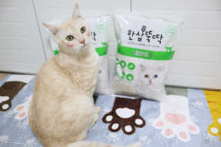 [펫토리아] BEST 고양이두부모래 6L 한삽뚝딱 — 5점을 준 리뷰어가 2019년 2월 올린 사용 사진