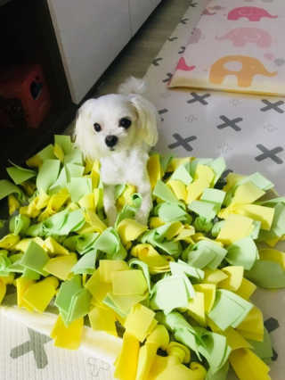 이지혜님이 올린 리뷰 사진 2
