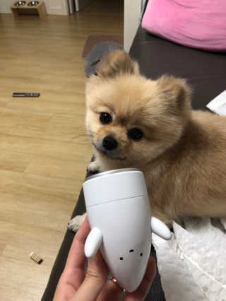 민토리님이 올린 리뷰 사진 2