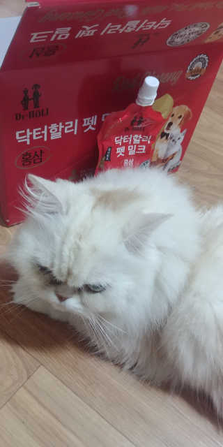 켈리심님이 올린 리뷰 사진 1