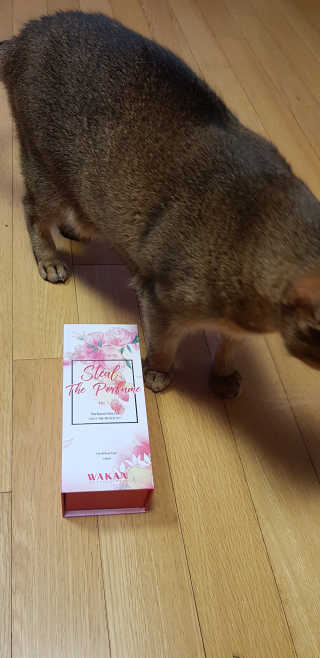 반짝님이 올린 리뷰 사진 2