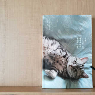 sunny님이 올린 리뷰 사진 3