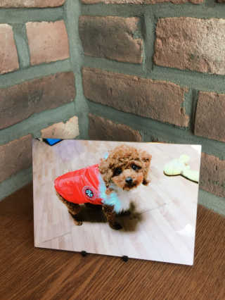 쫀지님이 올린 리뷰 사진 1
