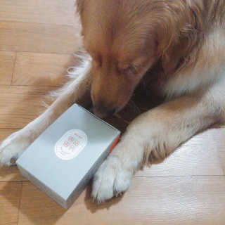아보카도올리브님이 올린 리뷰 사진 4