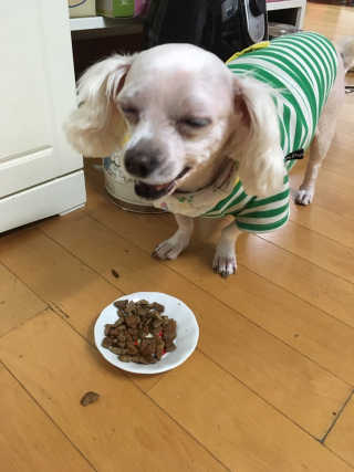 쮸동비님이 올린 리뷰 사진 2