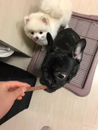 YuJinLee님이 올린 리뷰 사진 2