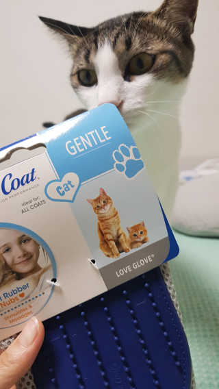 Four paws 리뉴얼 포포즈 매직코트 털 제거 브러쉬 — 5점을 준 리뷰어가 2018년 8월 올린 사용 사진