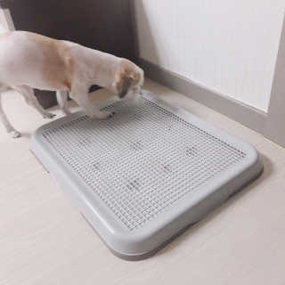 이슬비님이 올린 리뷰 사진 3