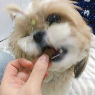 베베츄님이 올린 리뷰 사진 2