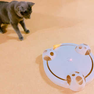 율집사님이 올린 리뷰 사진 1