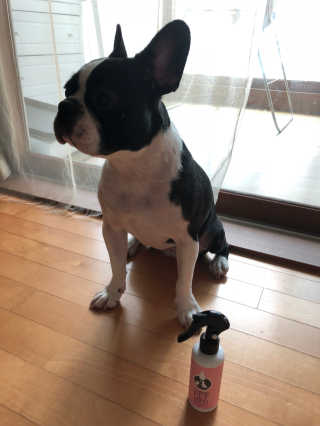 또용님이 올린 리뷰 사진 3