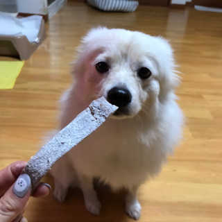 지우닝님이 올린 리뷰 사진 3