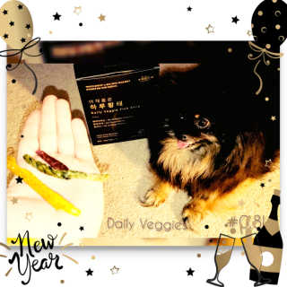 펫테라피 플레이트 야채품은 하루황태 — 4점을 준 리뷰어가 2020년 1월 올린 사용 사진
