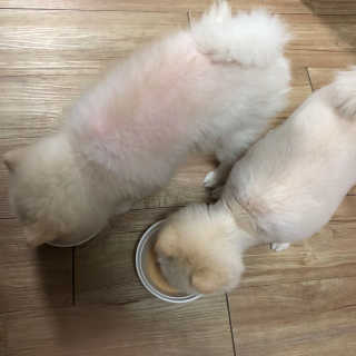 MinAKim님이 올린 리뷰 사진 1