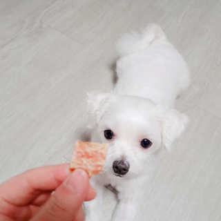 송민진님이 올린 리뷰 사진 2