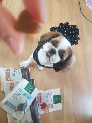 신화영님이 올린 리뷰 사진 3