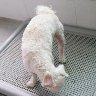 쪼초맘님이 올린 리뷰 사진 2