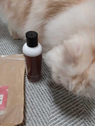 켈리심님이 올린 리뷰 사진 2