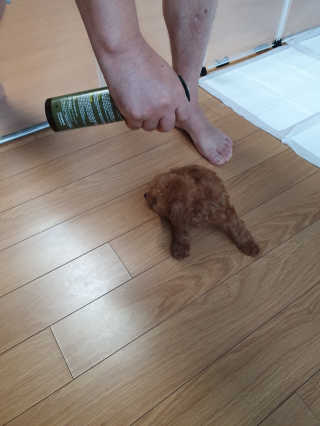 사랑꾼님이 올린 리뷰 사진 4