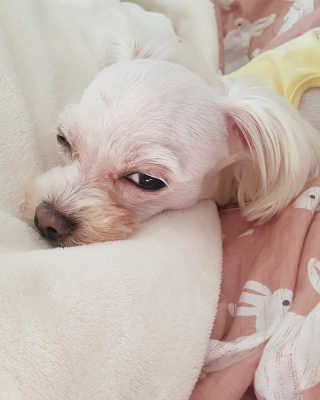 상선언니님이 올린 리뷰 사진 3
