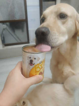 Lim님이 올린 리뷰 사진 2