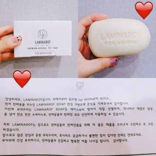 예솔님이 올린 리뷰 사진 1