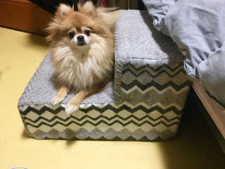 김희진님이 올린 리뷰 사진 2