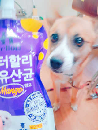 EunsunKim님이 올린 리뷰 사진 3