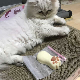 초초님이 올린 리뷰 사진 1
