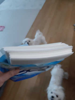 부산댁님이 올린 리뷰 사진 2