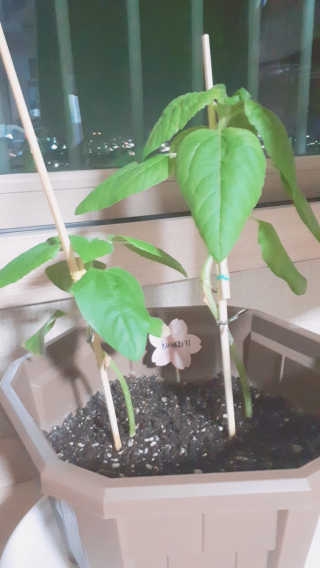 지니님이 올린 리뷰 사진 2