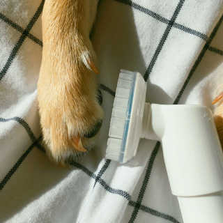 하얀비님이 올린 리뷰 사진 4