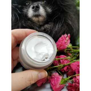 Peepingpomeranian님이 올린 리뷰 사진 4