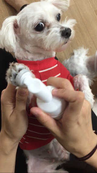 JiwooPark님이 올린 리뷰 사진 1