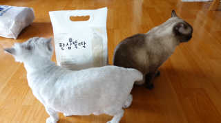 피치코코님이 올린 리뷰 사진 3