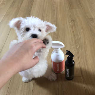 겨울용점퍼님이 올린 리뷰 사진 2