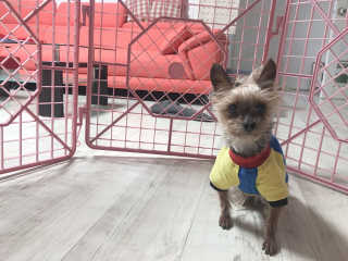 김콩콩님이 올린 리뷰 사진 3